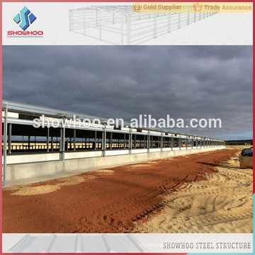 prefabricated industrial galpón acero estructura edificio diseño aves de corral galpón capa pollo casa venta